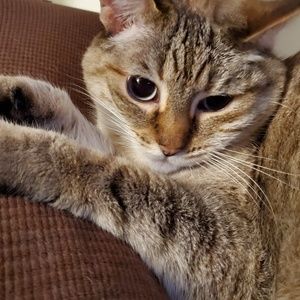 Meet your Posher, Alex